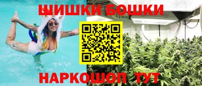 стаф Аргун