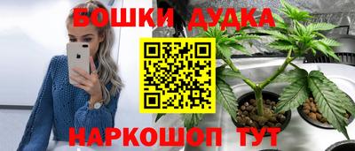 стаф Аргун