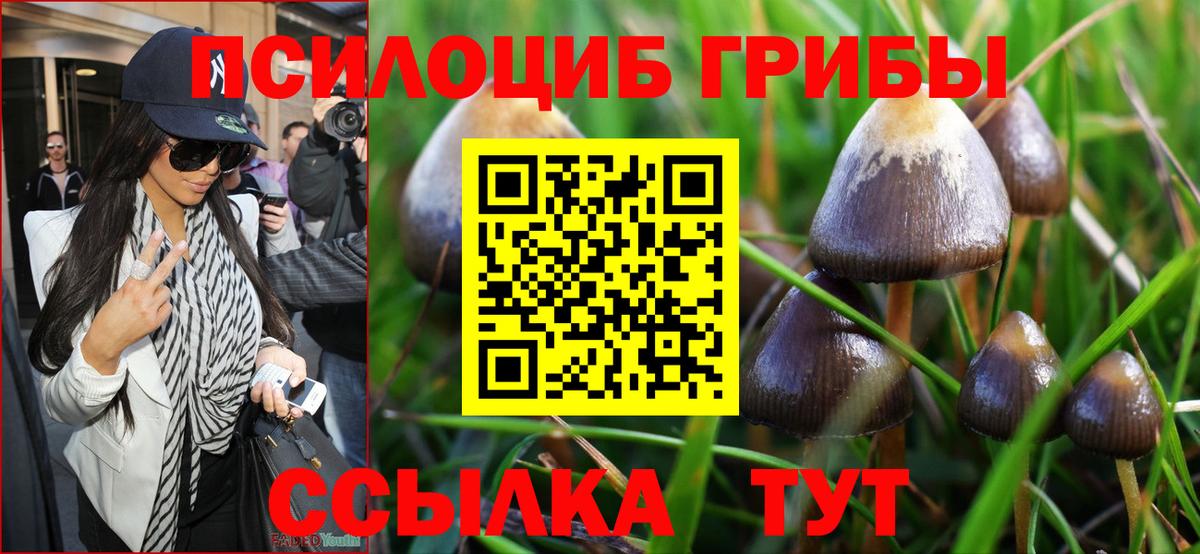 Галлюциногенные грибы мухоморы  продажа наркотиков  Вход с VPN  Архангельск  Галлюциногенные грибы MAGIC MUSHROOMS 